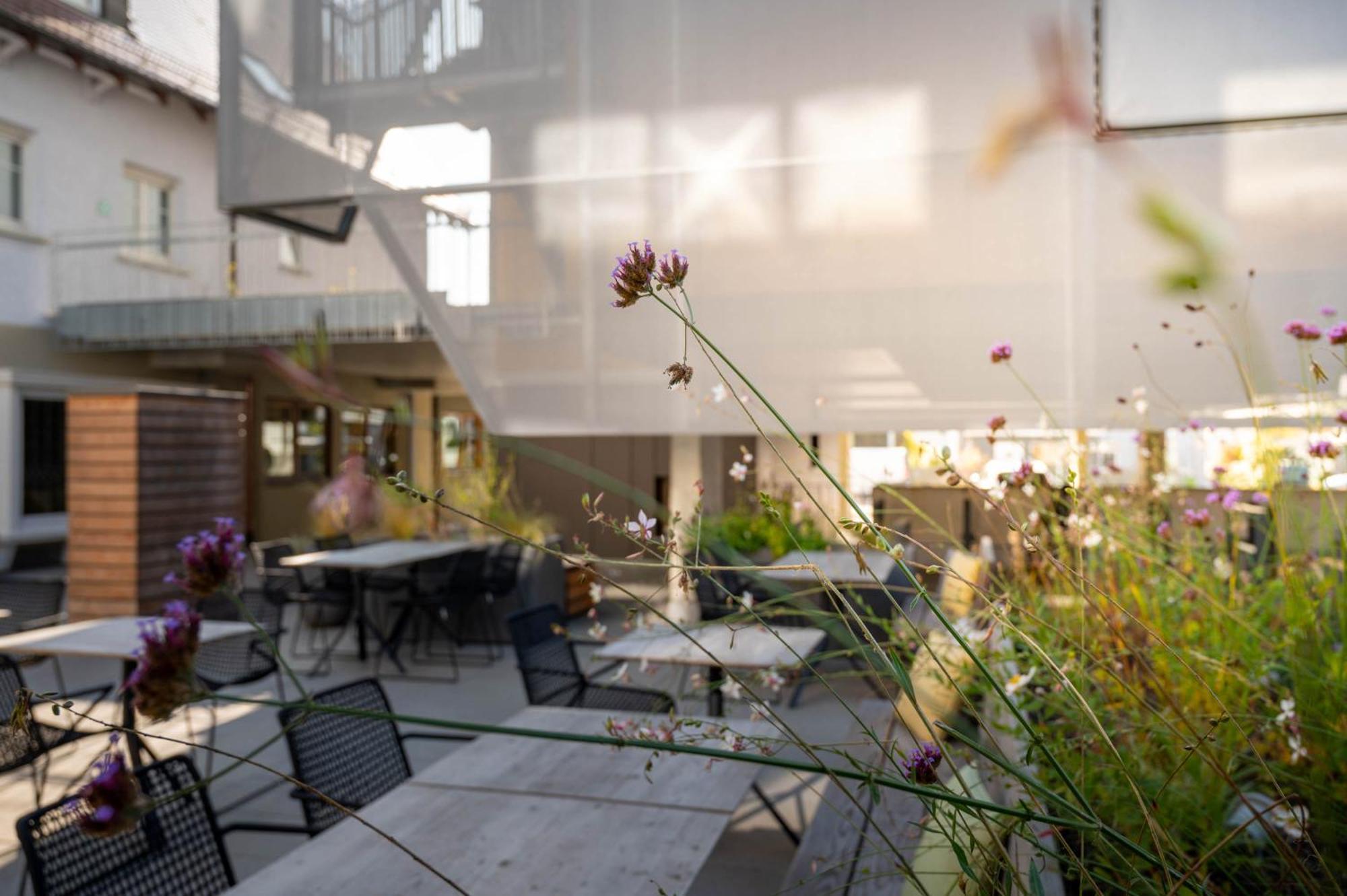 Hotel Maier FDH Extérieur photo